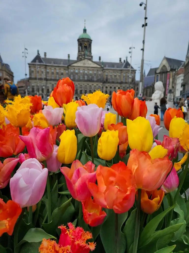 Bright flowers in the foreground with a church building in the background.